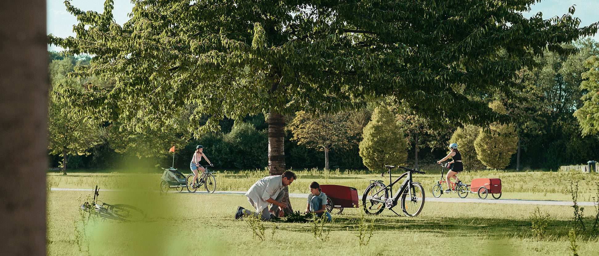 Family planting a tree in a sunny park while others cycle by with bike trailers in the background.