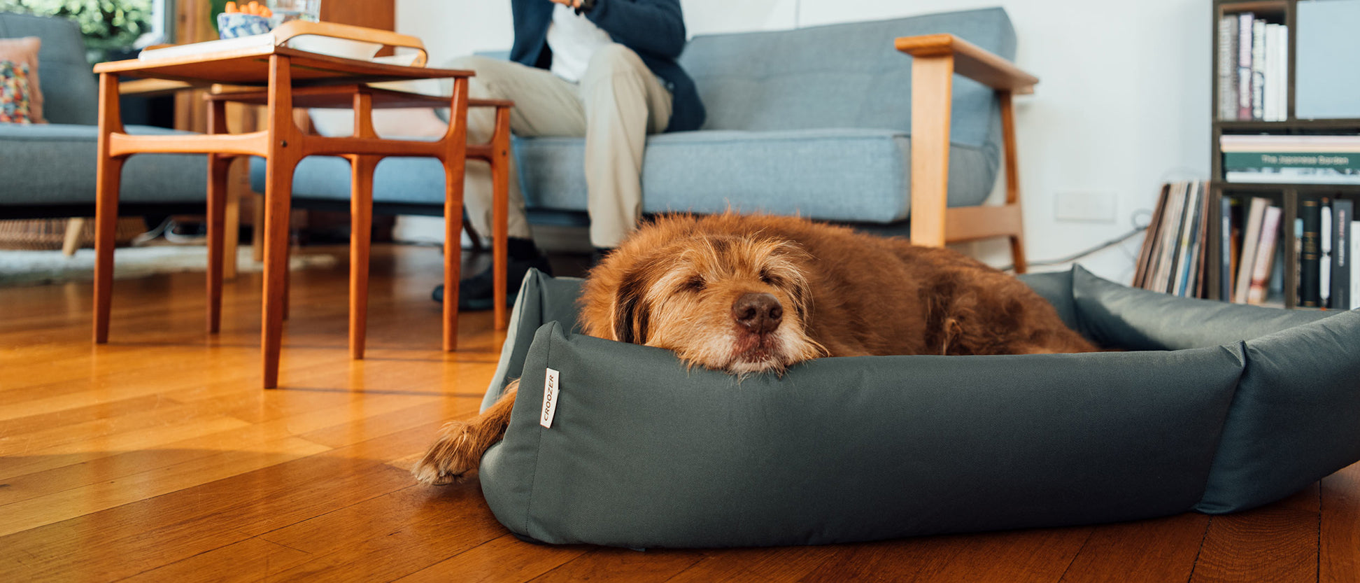 In a cozy living room, a dog sleeps in the Croozer dog bed while its owner sits on the sofa behind