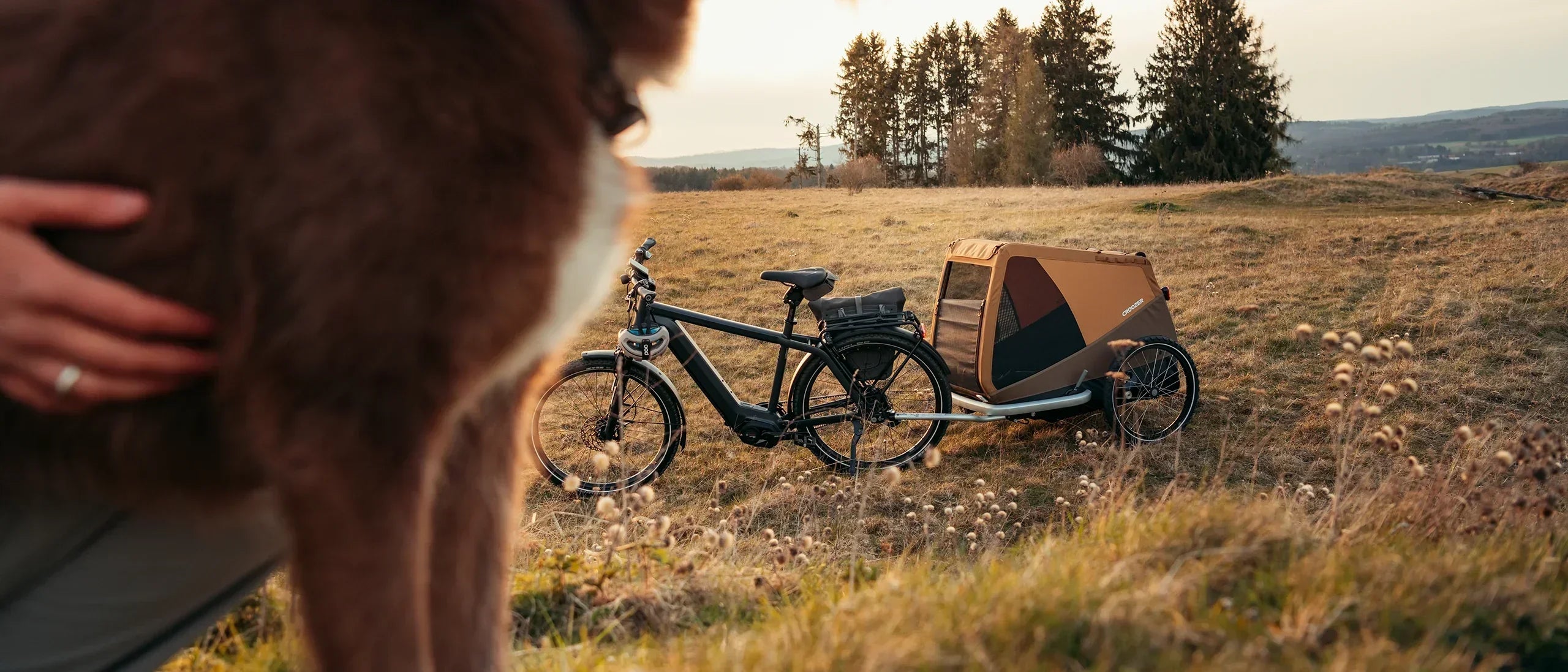 Woman pets dog in blurred front; Croozer Dog Trailer Sundown Yellow mounted on bike in field, forest behind.