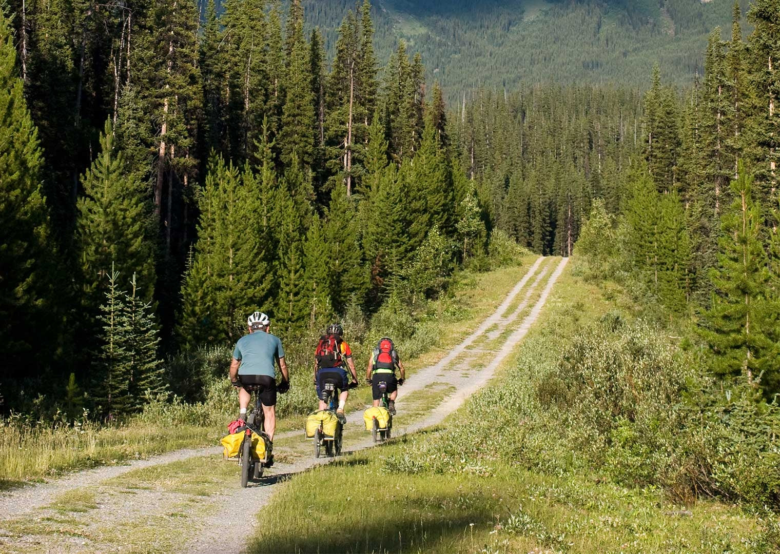 Bundle: BOB YAK Escape-Bundle Schwarz 26"