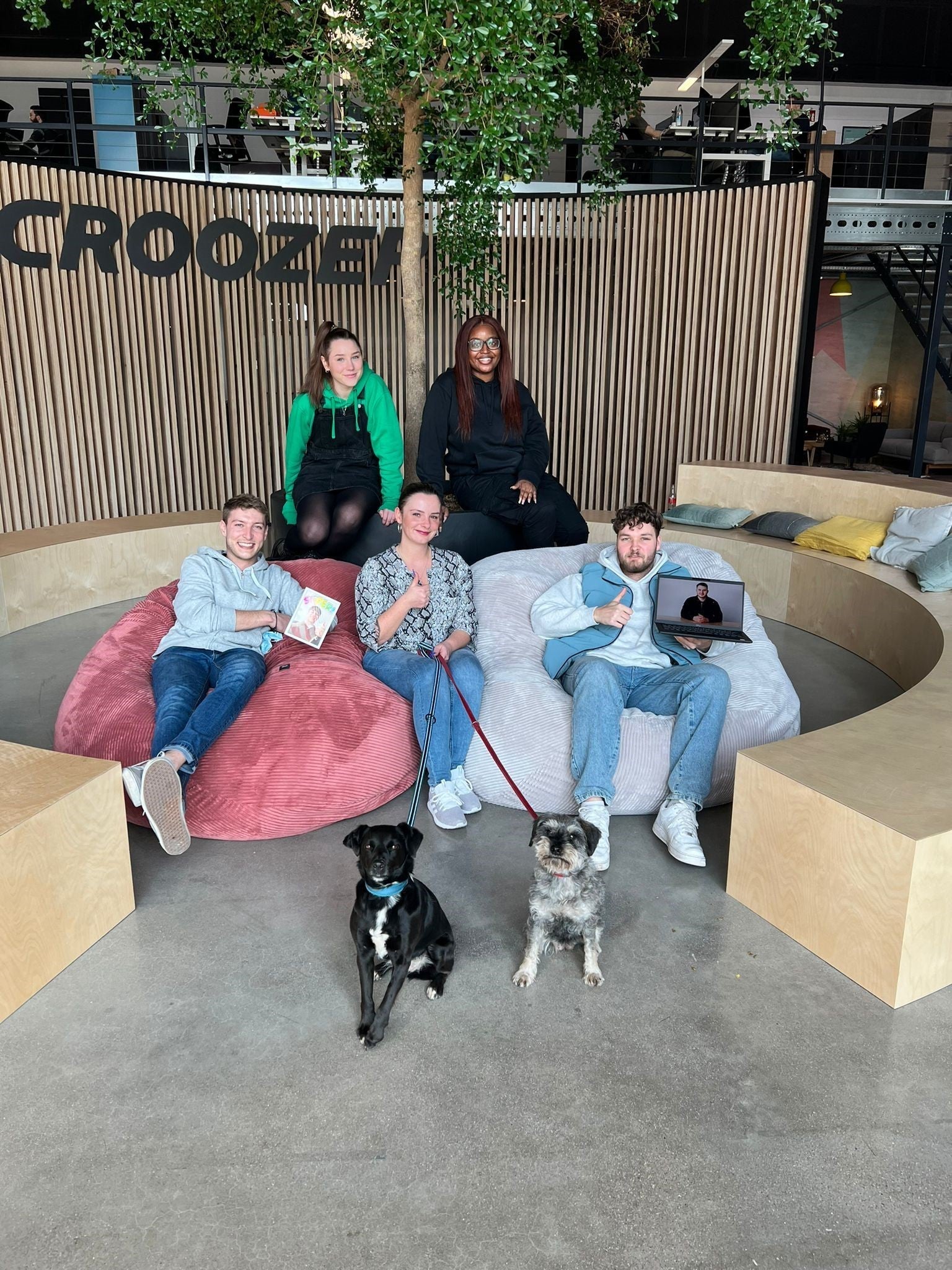 Our happy Croozer trainees in the modern open office entry hall accompanied by two of our office dogs