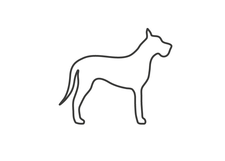 Large Dog icon for Croozer dog bike trailers - cycling with dogs and pet transport solutions