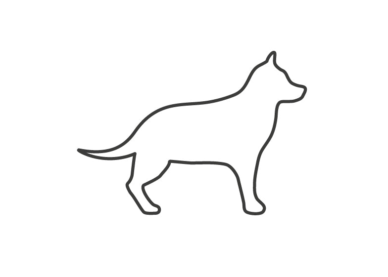 Large Dog icon for Croozer dog bike trailers - cycling with dogs and pet transport solutions