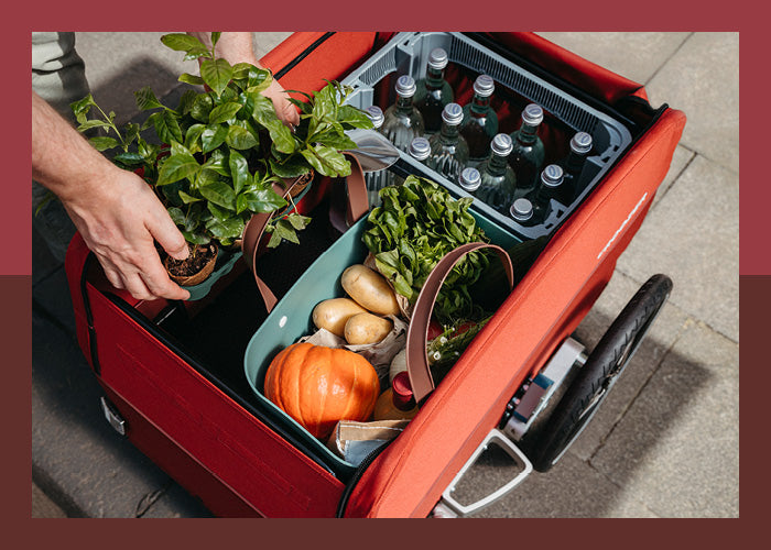 Croozer Cargo Pakko getting loaded with groceries - top view