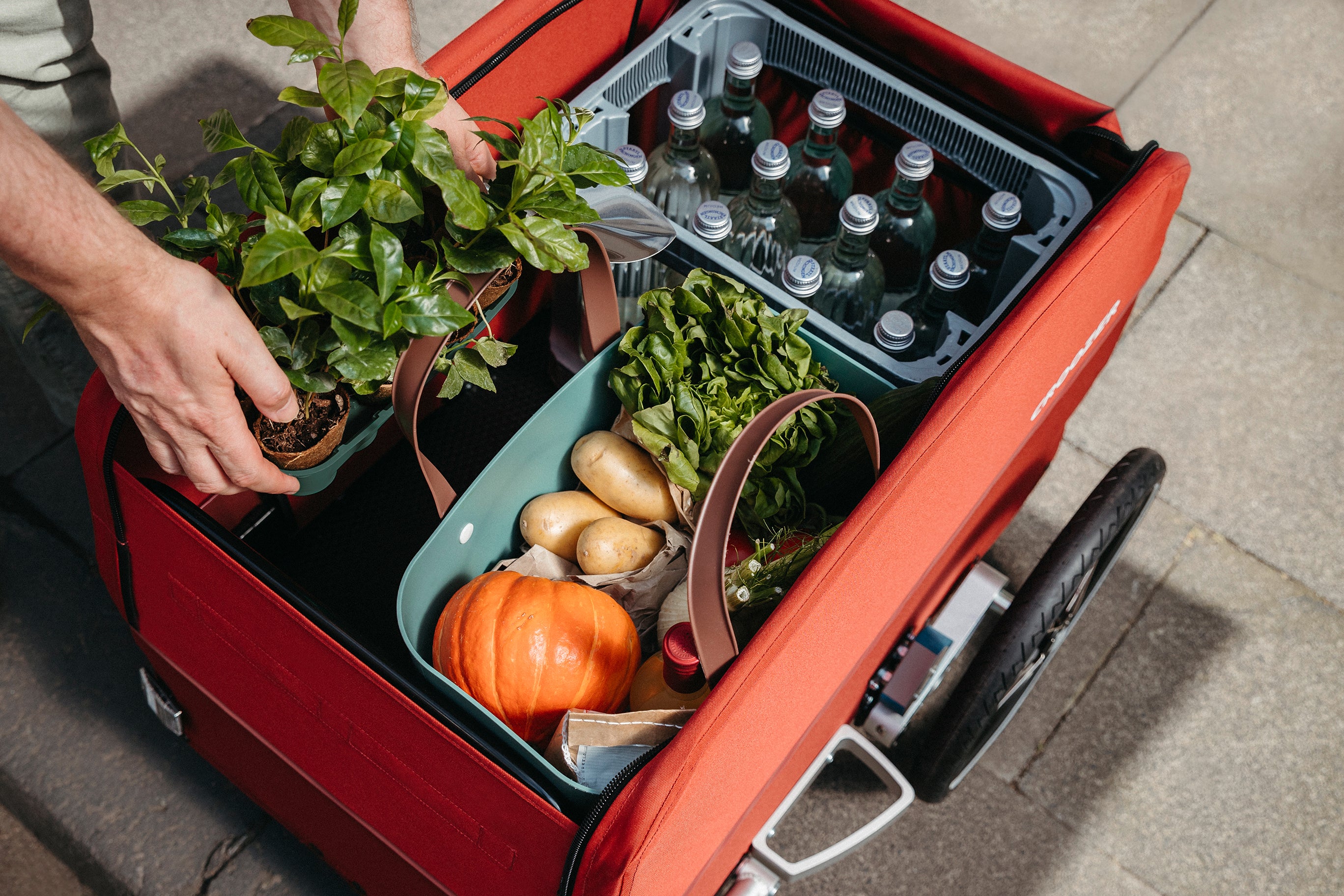 Croozer Cargo Tuure getting loaded with groceries - top view