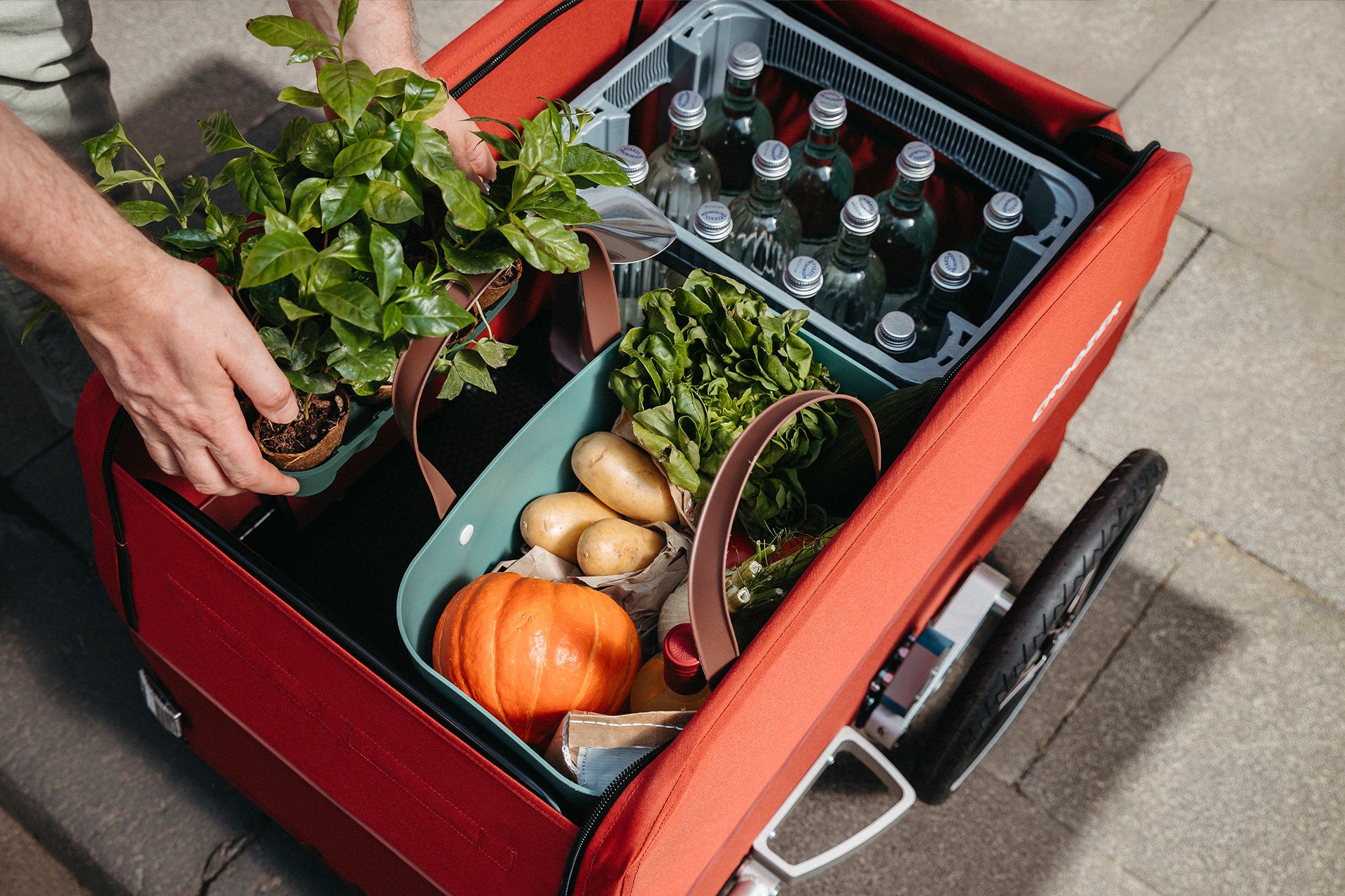 Croozer Cargo Tuure getting loaded with groceries - top view