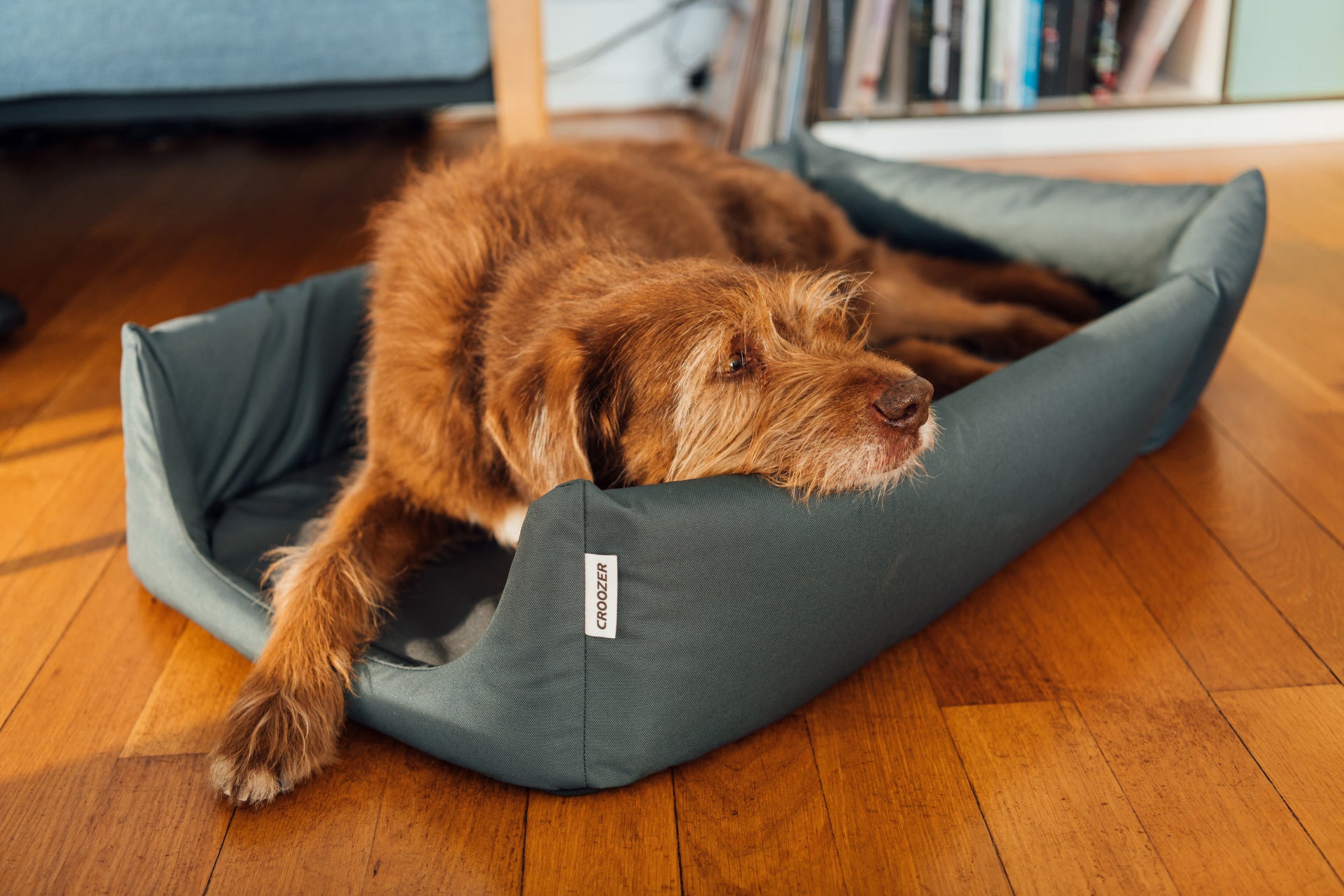 Happy brown dog lying comfortably on Croozer Dog Bed