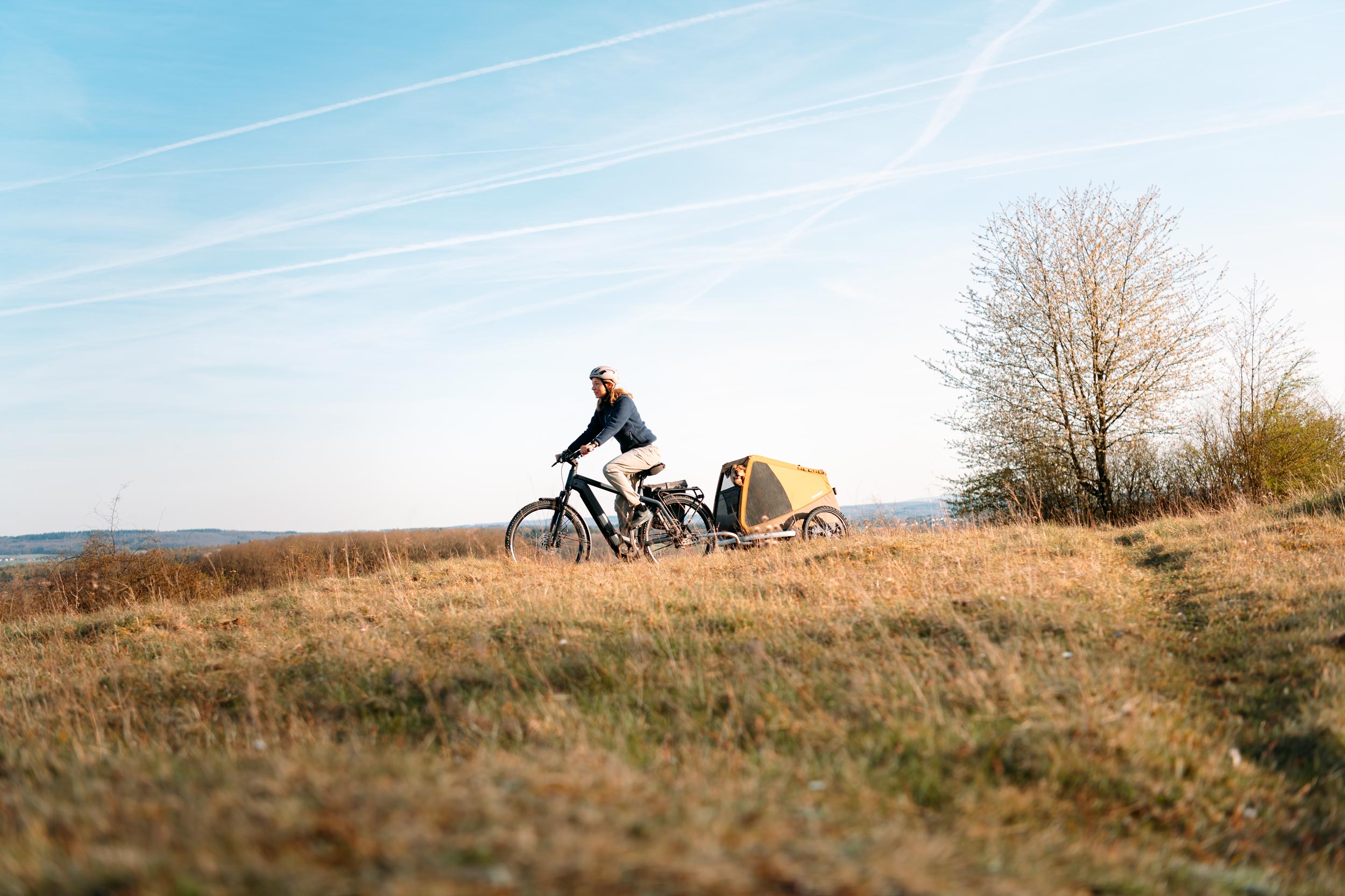 Woman on countryside bike tour with her dog in the Croozer Dog trailer