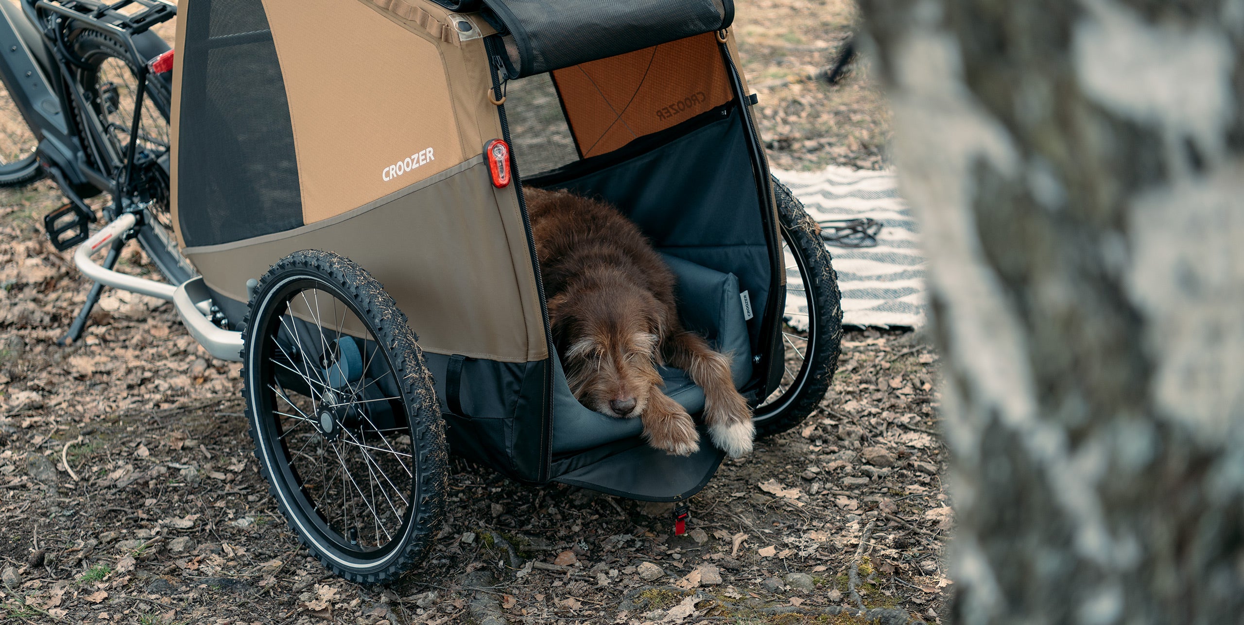 Tired dog sleeping peacefully on Dog Bed inside Croozer Dog trailer