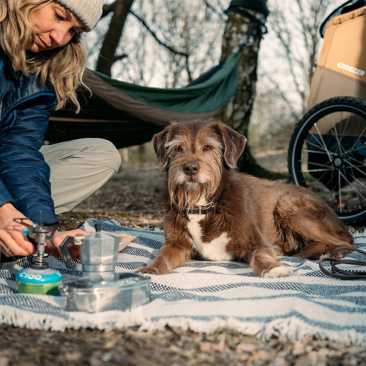 Woman enjoying picnic in nature with her dog, Croozer Dog trailer positioned in background