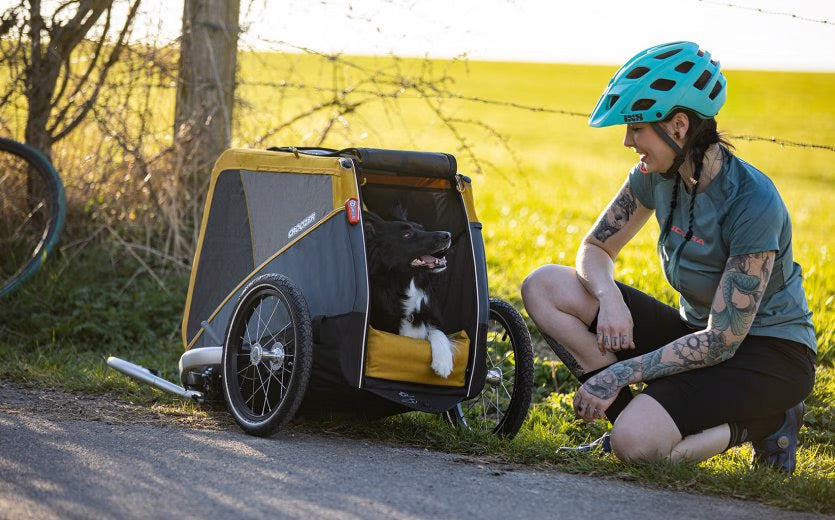Cyclist with blue helmet sitting beside Croozer dog trailer with black and white dog inside in countryside